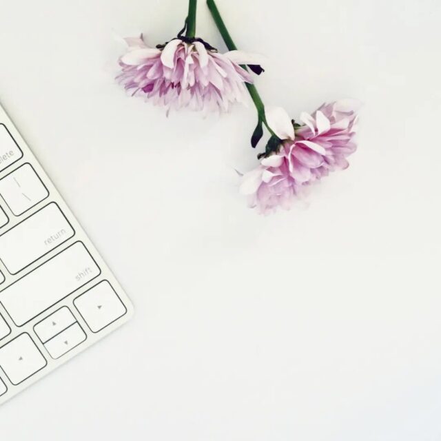 Photo by Jess Bailey